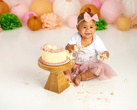 1st Birthday Cake Smash