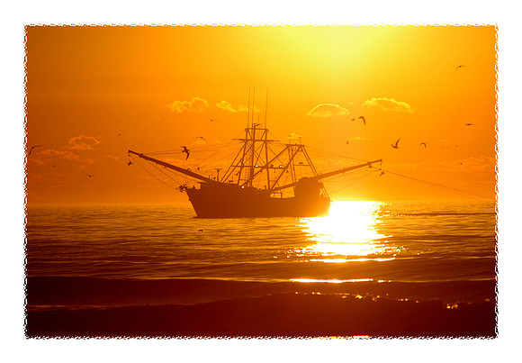 Carteret County photographs