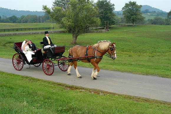 Wedding photographer