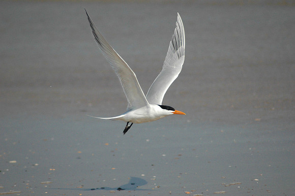 Carteret County photographs
