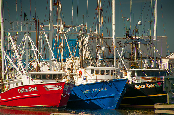 Carteret County photographs