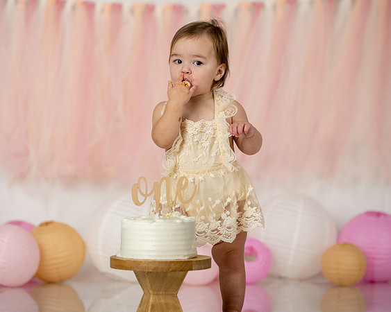 1st Birthday Cake Smash