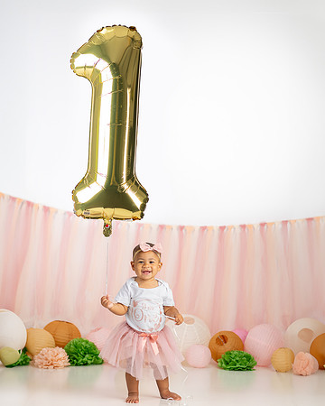 1st Birthday Cake Smash