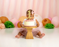 1st Birthday Cake Smash
